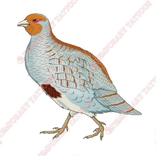 Birds Customize Temporary Tattoos Stickers NO.2143